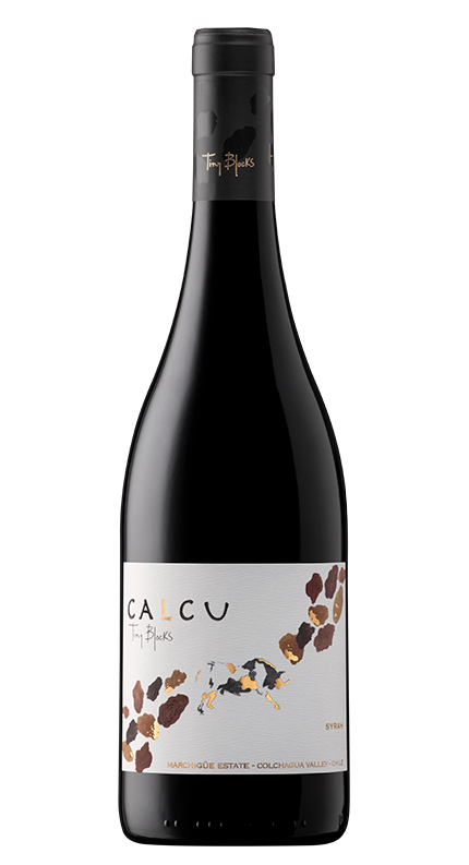 Tiny Blocks<br> Syrah